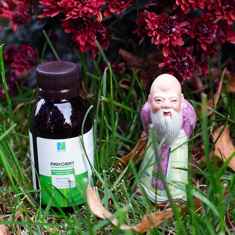 РИНОВИТ: восстановление после болезней РИНОВИТ: восстановление после болезней